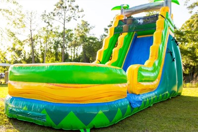 19Ft Palm Tree Slides Inflatable Water Slide With Palm Trees